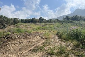 Palairos Hills May 24 clean land