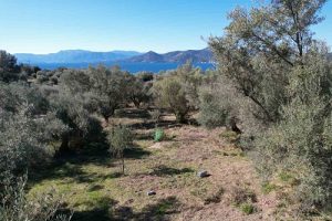 Palairos Hills villas before construction