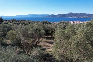 Palairos Hills villas before construction04.24